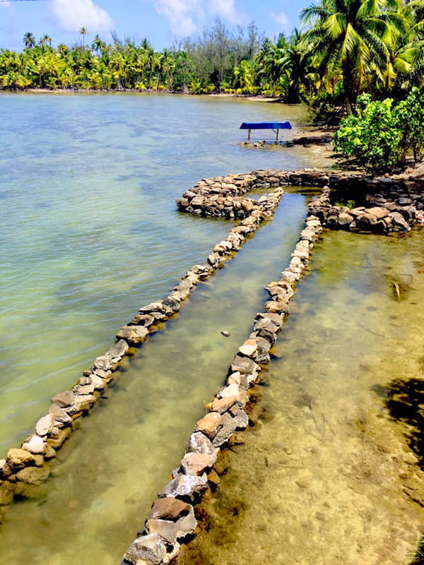 Pièges à poisson de Huahine